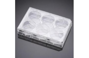 Image of BD Plate Multiwell 6WELL NON-TC 351146