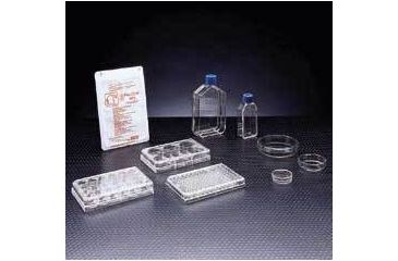 Image of BD Primaria Treated Labware, Sterile, BD Biosciences 353813 Culture Flasks With Plug-Seal Caps 25 cm2, Canted Neck