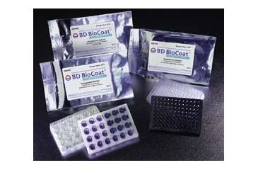 Image of BD System Angio Endo Tube 96WL 354149