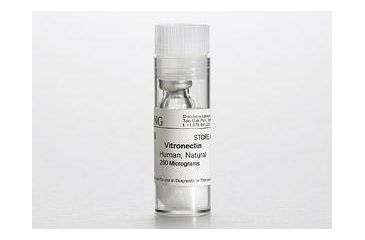 Image of BD Vitronectin Human Nat 250UG 354238