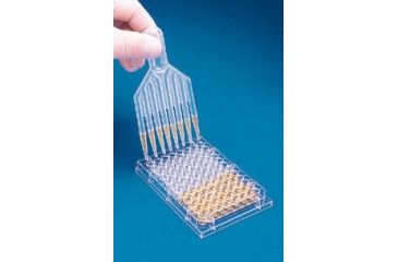 Image of Bel-Art Transpette Disposable Multichannel Transfer Pipet, SCIENCEWARE F37873-0001 Sterile