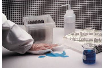 Image of Berkshire Wiper Labx 170 9X9IN PK500 LB1700909.40