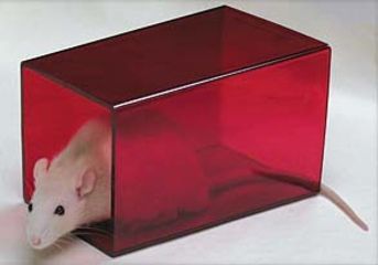 Image of Bio-Serv Amber Rodent Retreat For Rat K3246
