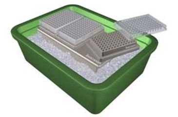 Image of Biocision Coolsystem PCR96(3) Each BCS-122