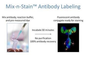 Image of Biotium Cf750 Mix-n-stain (50-100 Ug) 92241, Unit EA