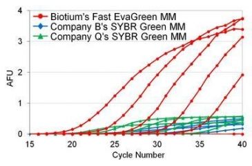 Image of Biotium Evagreen Qpcr Master Mix W/rox 31014-2, Unit EA