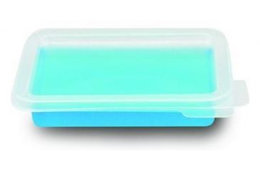 Image of Biotix Staining Tray W/LID Pp CS20 731-103