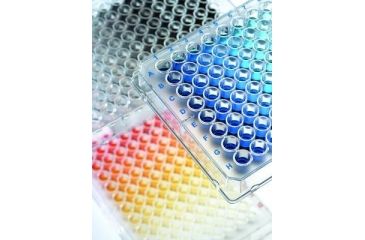 Image of BrandTech Plate 384 Well WHT/CLR S PK50 781686