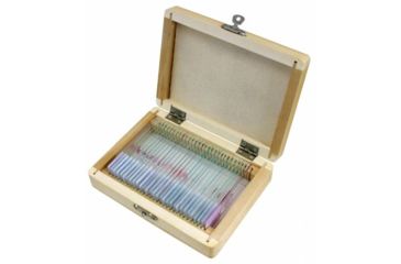 Image of Bresser 30 Permanent preparations, Animal 5986000