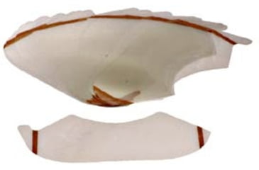 Image of Bullard Lens Covers Mylar LC