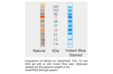 Image of C.B.S. Scientific Clearpage 2-COLOR Marker 30UL HM05103