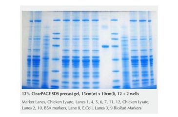 Image of C.B.S. Scientific Clearpage Sds Gel 8% 12W FK00812
