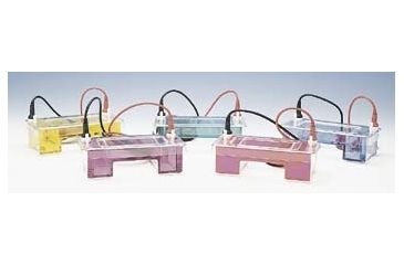 Image of C.B.S. Scientific MINI-GEL Kt Horz F-LID 5.5X8.5 MGU-102T-FL