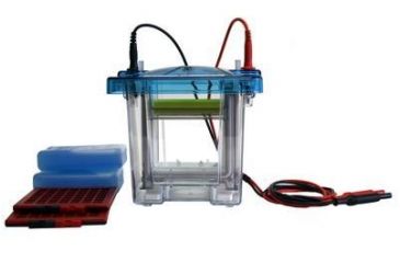 Image of C.B.S. Scientific Mini Vertical & Blotter DCXMHC-1010
