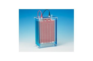 Image of C.B.S. Scientific Scotch Brite Pad -DBL Wide EBS-402