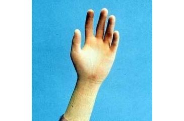 Image of Cardinal Health CR100 Sterile Latex Gloves, Cardinal Health 2Y1640