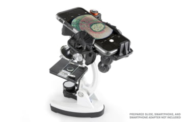 Image of Celestron Kids Basic microscope Kit, Stainless, 44124
