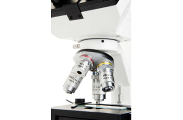 Image of Celestron Labs CB2000CF Compound Binocular Microscope,10x,20x Eyepieces,4x,10x,40x,100x Achromatic Objective Lenses 44131