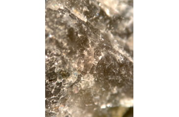 Image of Celestron Labs S10-60 Stereo Microscope,10x,20x Eyepieces,Two Sets of Objective Lenses,1x,3x 44208