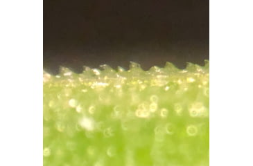 Image of Celestron Labs S10-60 Stereo Microscope,10x,20x Eyepieces,Two Sets of Objective Lenses,1x,3x 44208