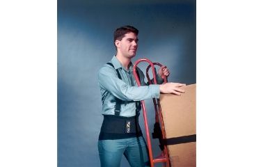 Image of Chase Ergonomics Back Support Straps Lg Blk 5033, Unit CS