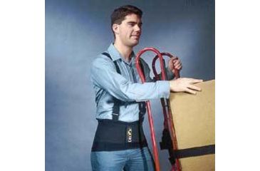 Image of Chase Ergonomics Lumbar Supp W/STRPS LG.BLACK 5033