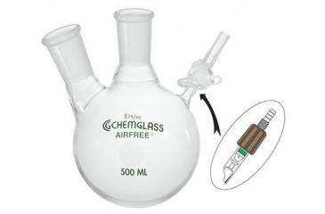 Image of Chemglass Flask Reaction 2NK 100ML 1 AF-0530-21