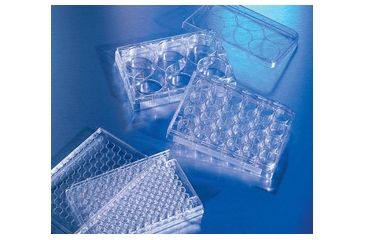 Image of Corning Attchmnt CLUSTR,6WL Low CS24 3471