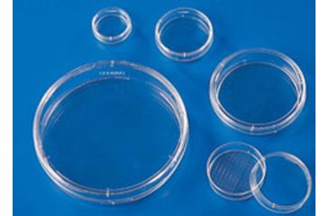 Image of Corning DISH,BIOASSAY,SQUARE,CS16 431111