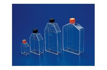 Image of Corning Flask 75CM2 Canted Neck CS100 430720