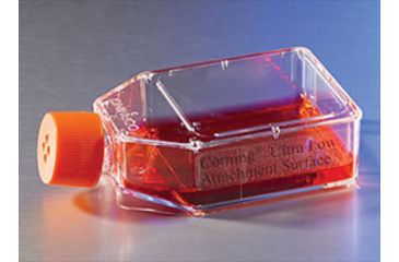 Image of Corning Flask Low Attach 25CM CS24 3815