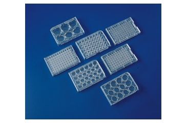 Image of Corning Plate Polystr 24WELL 2ML CS100 3524