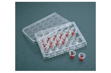 Image of Corning TRANSWELL,TCT,6.5MM,8.0UM CS48 3422