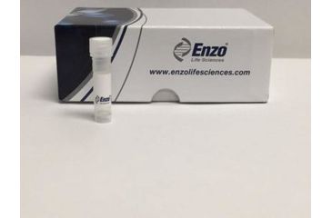 Image of Enzo Life Sciences HSP90 Antibody 50UG SPA-835D