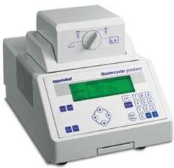 Image of Eppendorf Mastercycler Gradient 220V 950000023