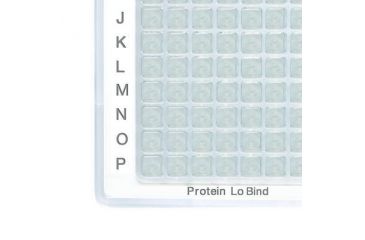 Image of Eppendorf Plate 384w 200 Prot Lob Pk160 925000101, Unit PK