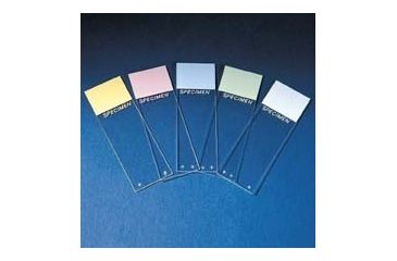 Image of Erie Scientific Colorfrost Plus Microscope Slides, Erie Scientific 8951PLUS