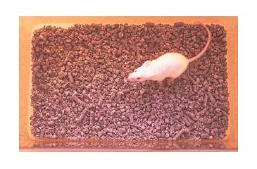 Image of Fangman Specialties CELL-SORB Gray 40LB Bag 40LB-G-100