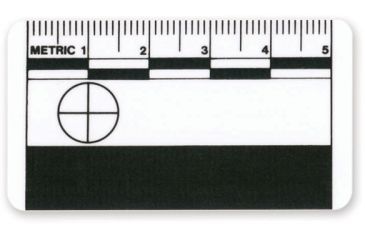 Image of Forensics Source 5 Cm Scale, Pack of 10 6-3822