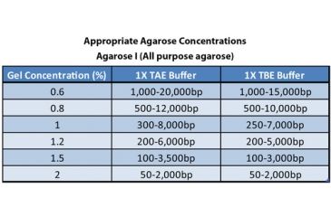 Image of G-Biosciences Agarose I All Purpose 100gm RC-006, Unit EA