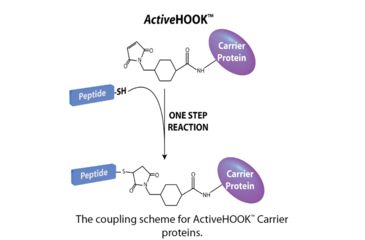 Image of G-Biosciences Bsa 10mg 786-086, Unit EA