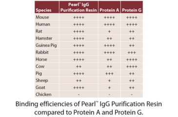 Image of G-Biosciences Extrction Kit Igg Resin 25ml 786-801, Unit EA