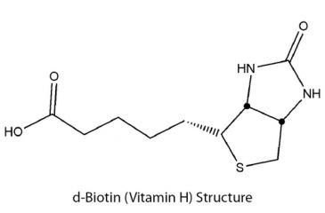 Image of G-Biosciences Sulfo Nhs Lc Lc Btn Kt 10rxn BS-08, Unit PK