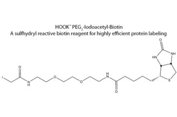 Image of G-Biosciences Iodoacetyl Lc Biotn Kt 10rxn BS-12, Unit PK