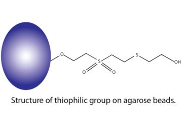 Image of G-Biosciences Resin Thiophilic Kit 786-266, Unit EA