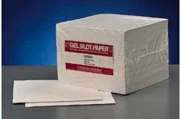 Image of GE Blotting Paper 10X10CM PK50 10426880