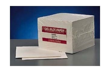 Image of GE Blotting Paper 10X15CM PK100 10427900