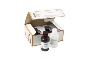 Image of GE Ecl Prime Western Blotting Det RPN2232, Unit EA