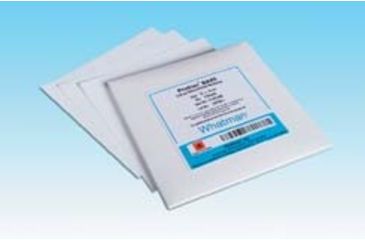 Image of GE Membrane Nitro 30CMX3M PK1 10401396