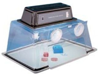 Image of GE Protarray Wash Buffer 10485330